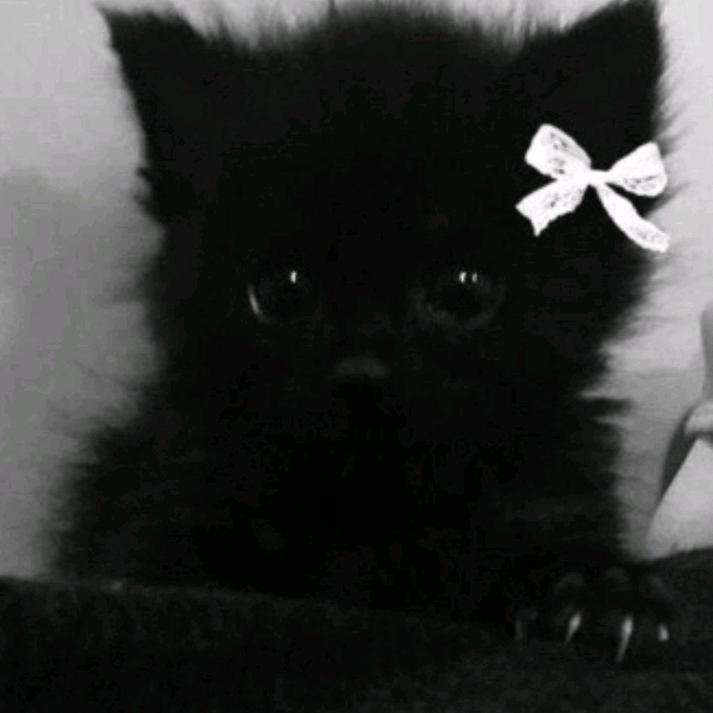 Иконка канала Самсунг Захар