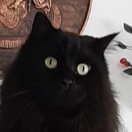 Иконка канала FAMINOR