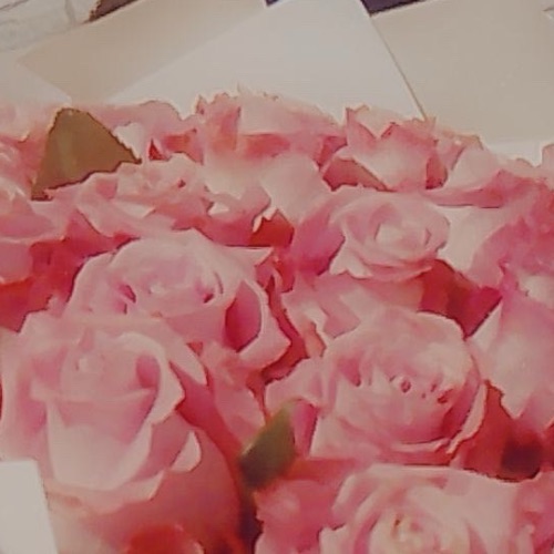 Иконка канала Екатерина