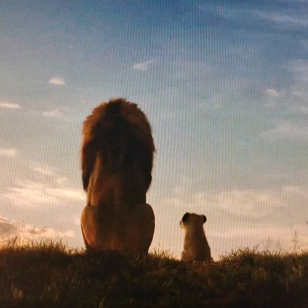 Иконка канала Симба