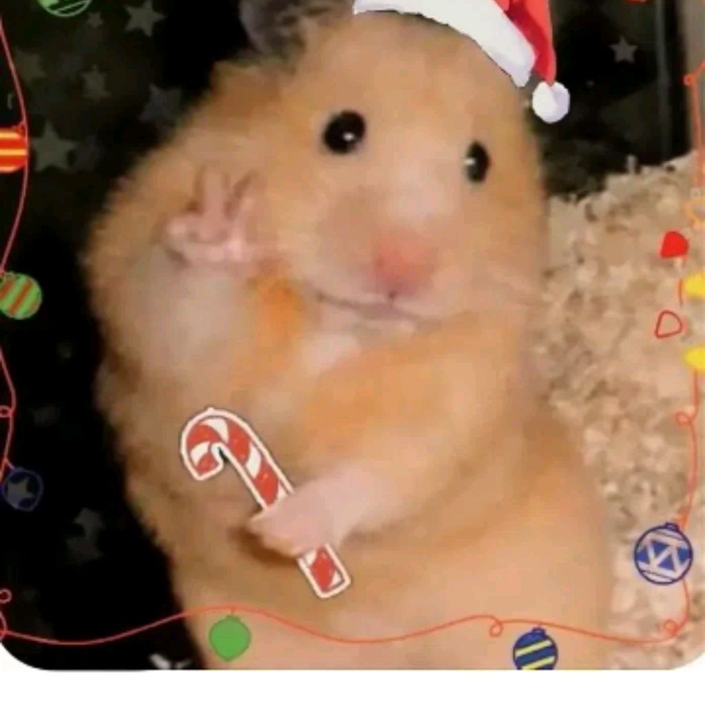 Иконка канала Hikita1234