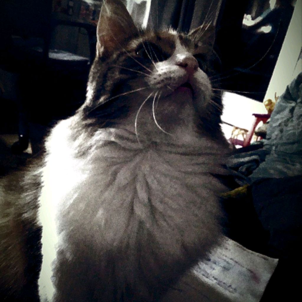 Иконка канала Алиса Детско