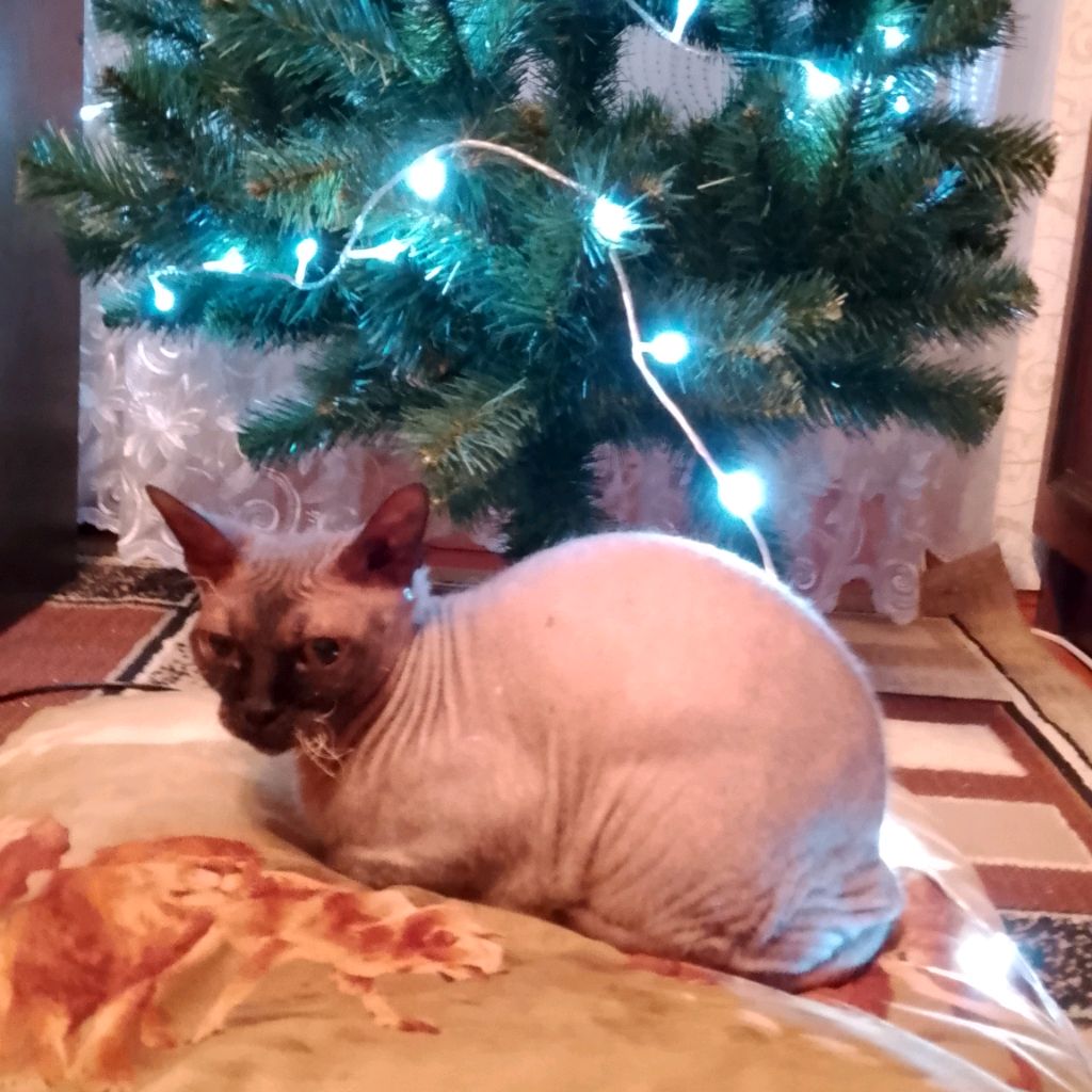 Иконка канала - Типо Муня, ок да? 🫵.