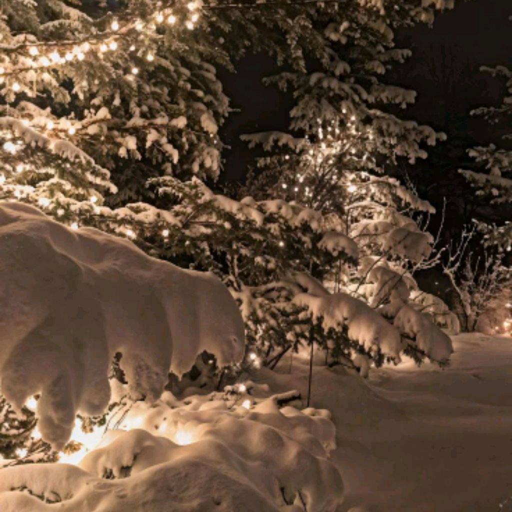 Иконка канала Инопланитяни 5👽