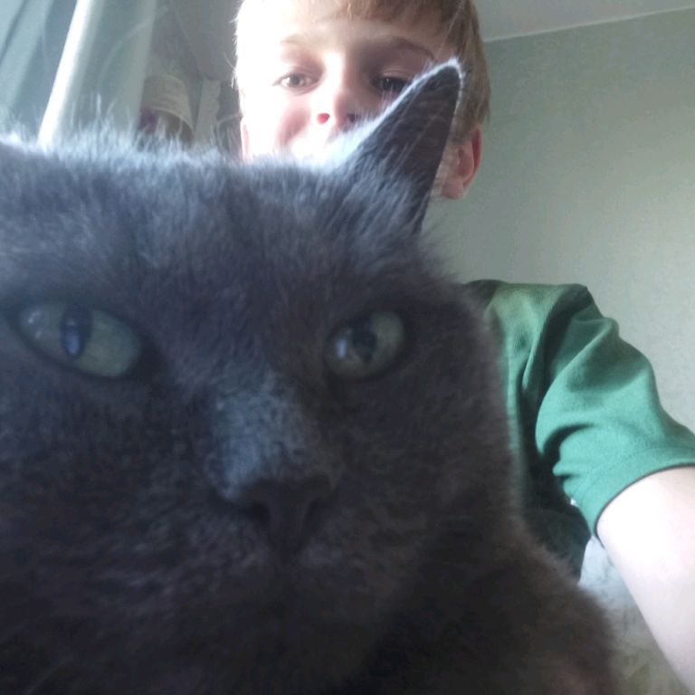 Иконка канала terminator_danya