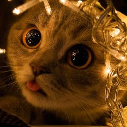 Иконка канала Варя клубничка