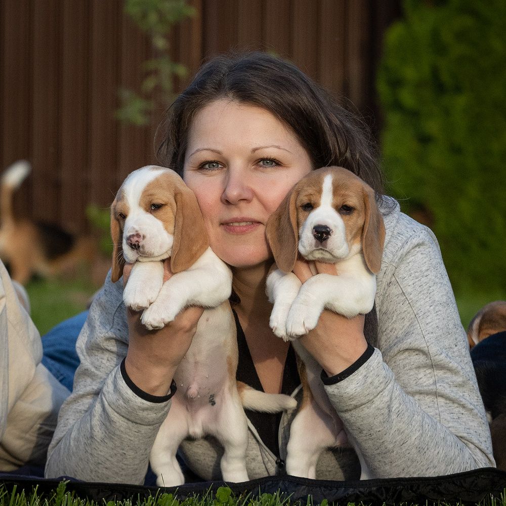 Иконка канала Питомник биглей КрисМэлл