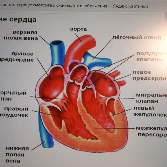 Иконка канала Кардиолог