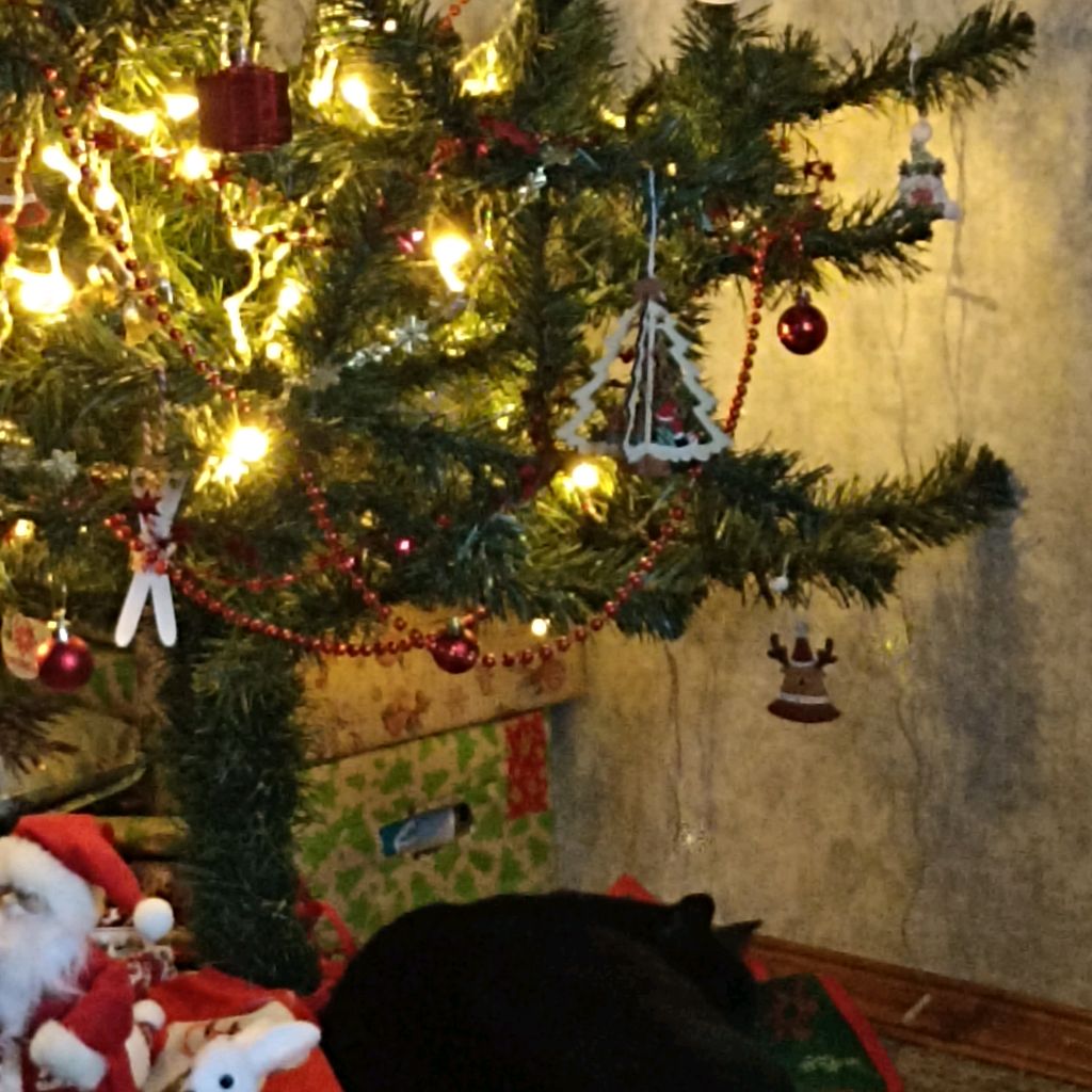 Иконка канала Kate