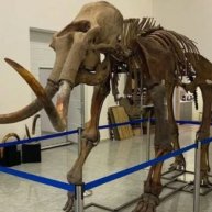 Иконка канала Палеонтология наука для ислама!