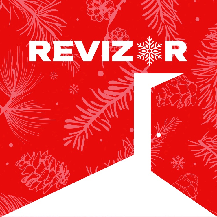 Иконка канала REVIZOR