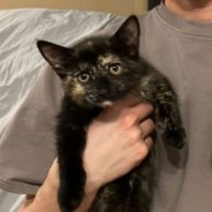 Иконка канала ToTwoThree