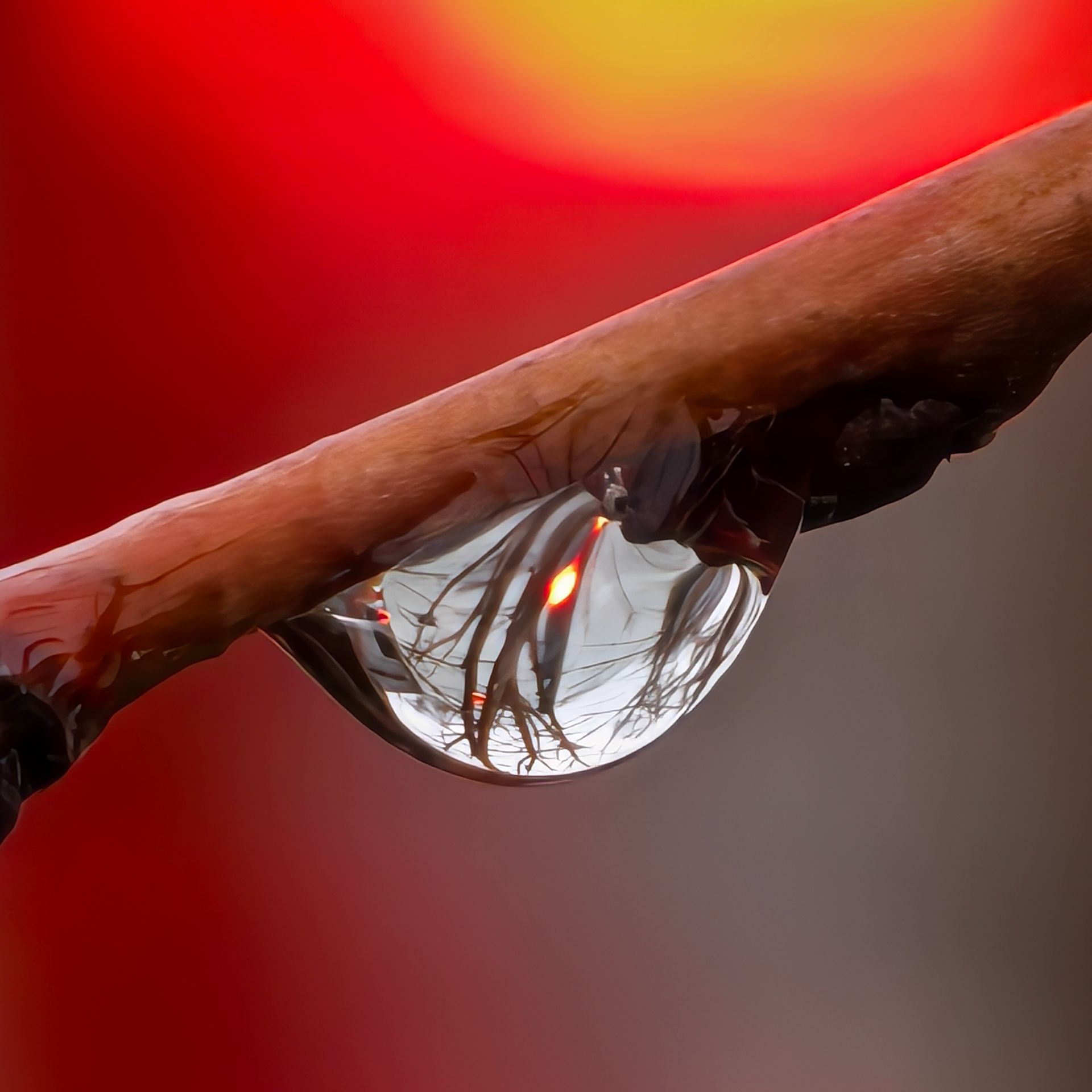 Иконка канала Мелодии Природа