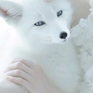 Иконка канала БЕЛАЯ Life