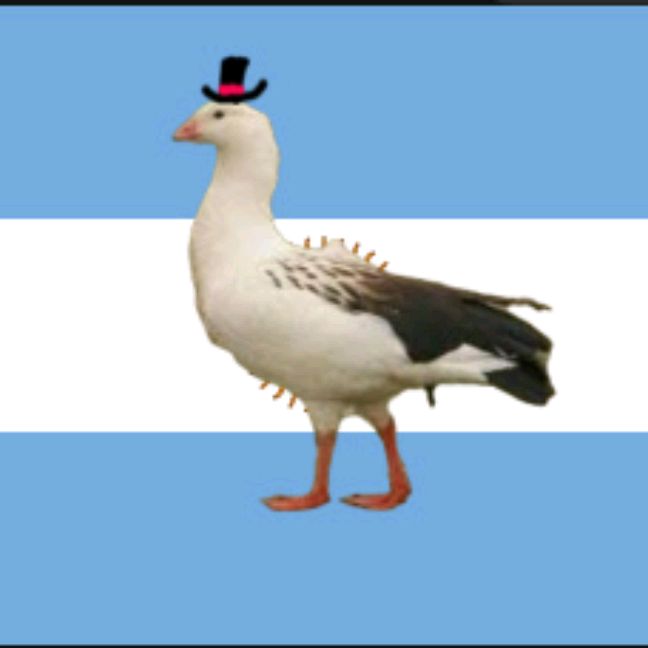 Иконка канала Андский Гусь🪿