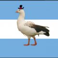 Иконка канала Андский Гусь🪿