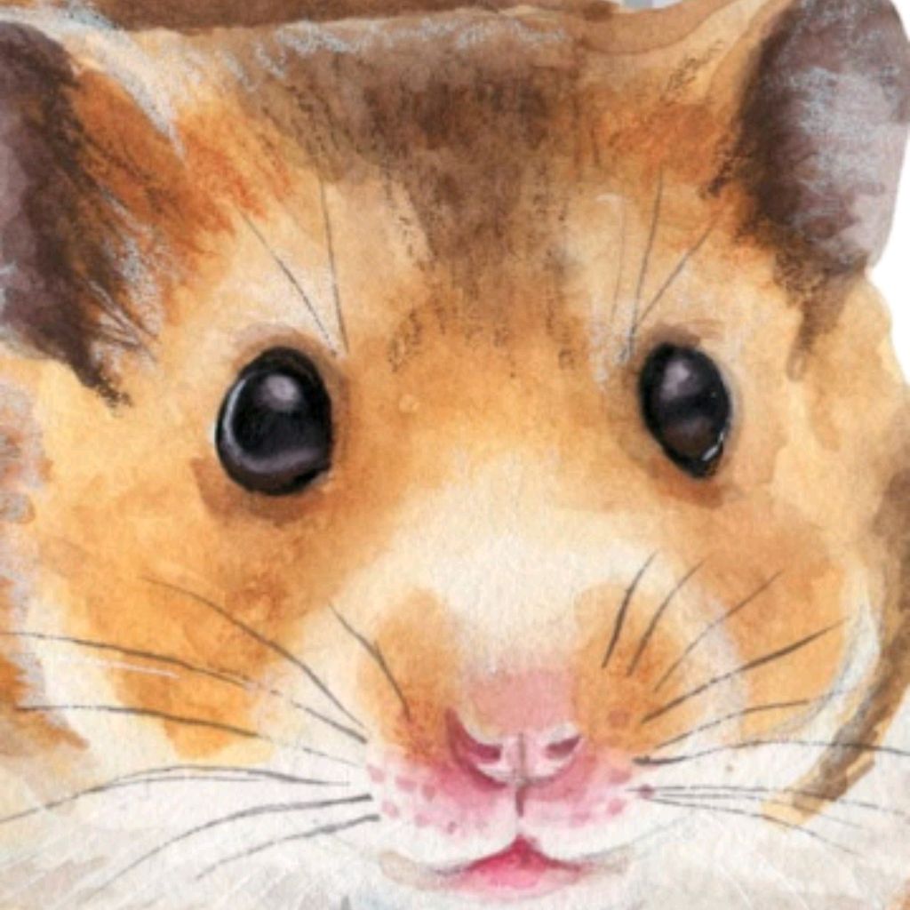 Иконка канала DanaShow.