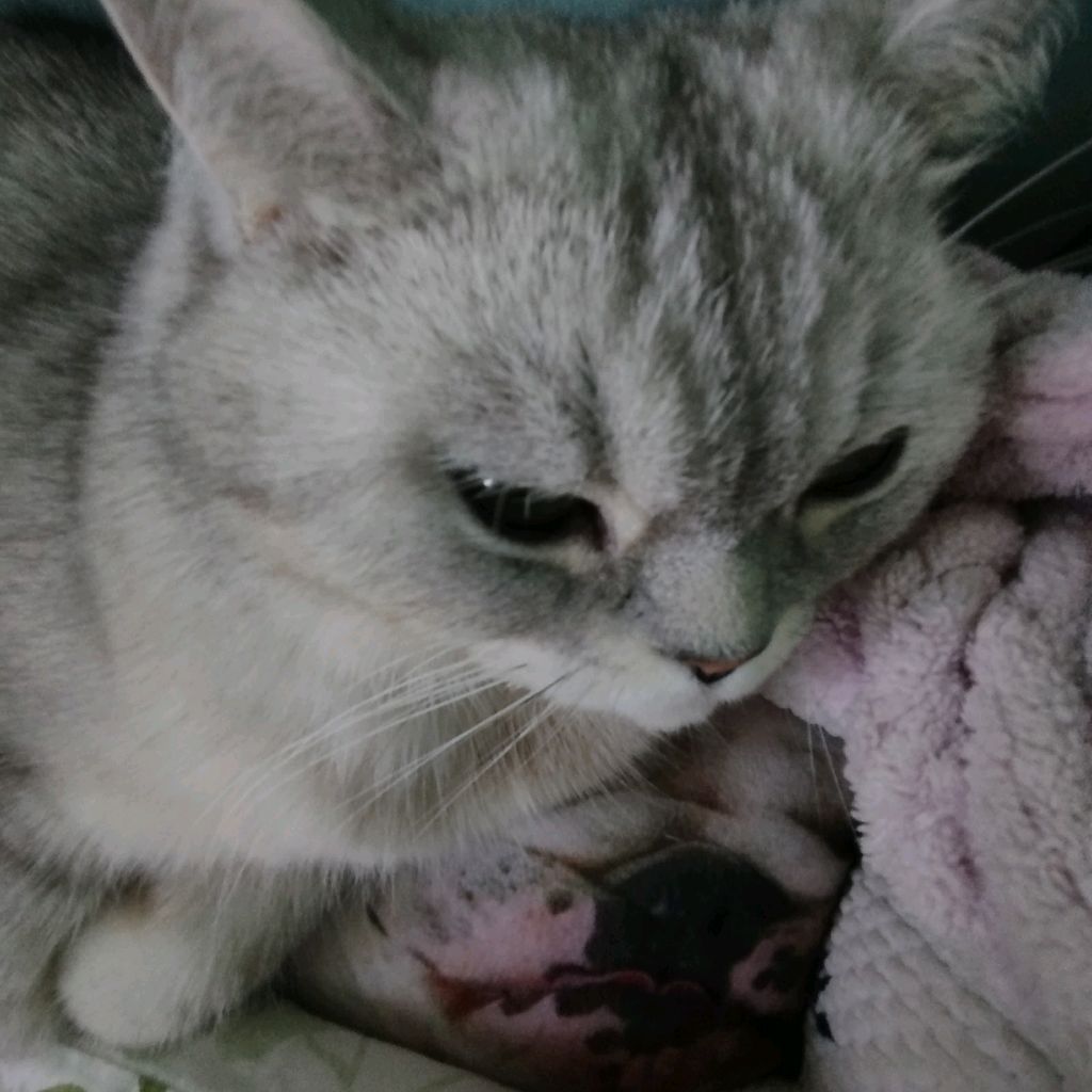 Иконка канала Вика Яся🎀