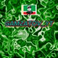 Иконка канала Gamzatov_YT