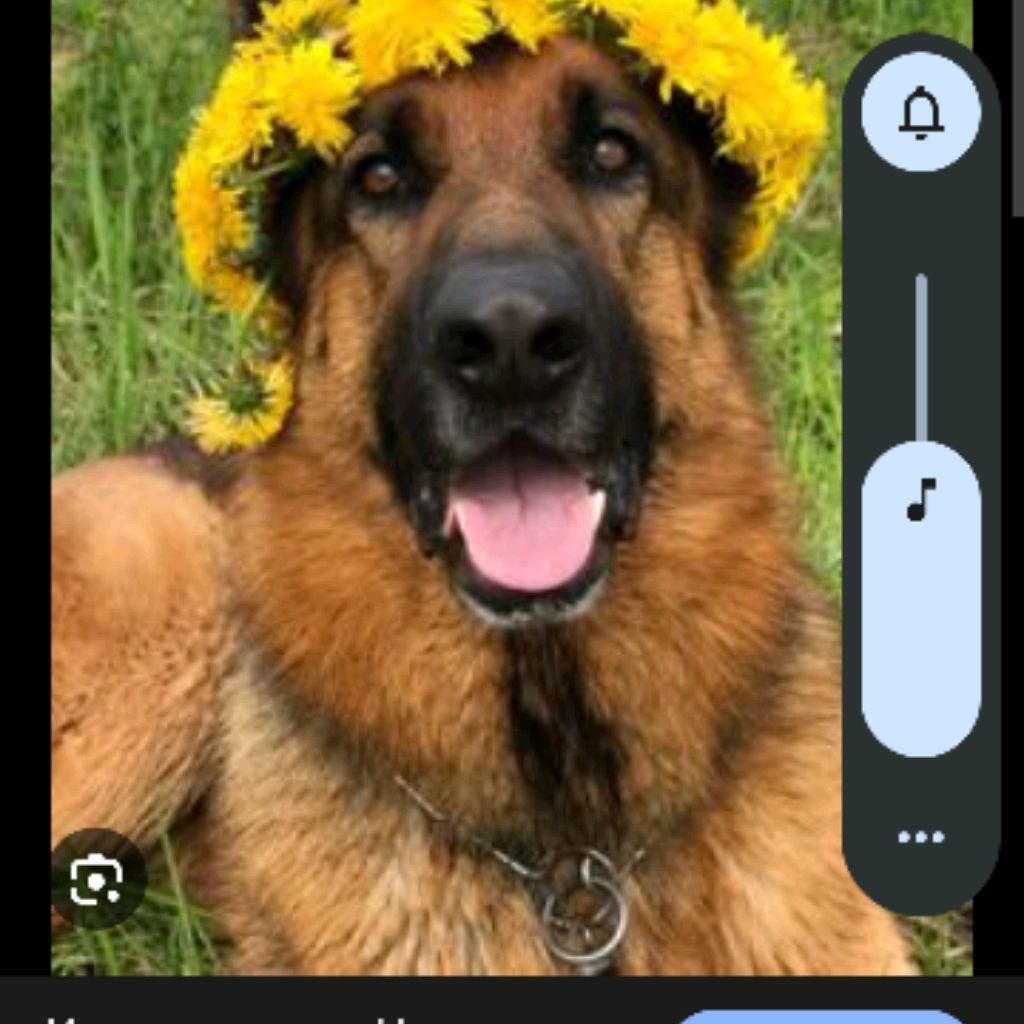 Иконка канала Вика 12345678910