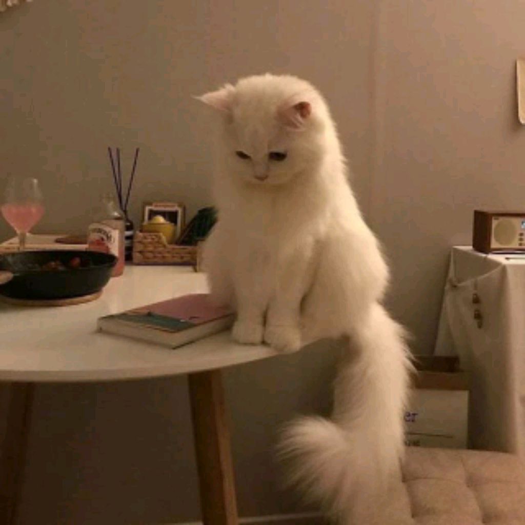 Иконка канала channel74064855