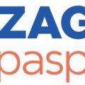 Иконка канала ZagranPasport.ru
