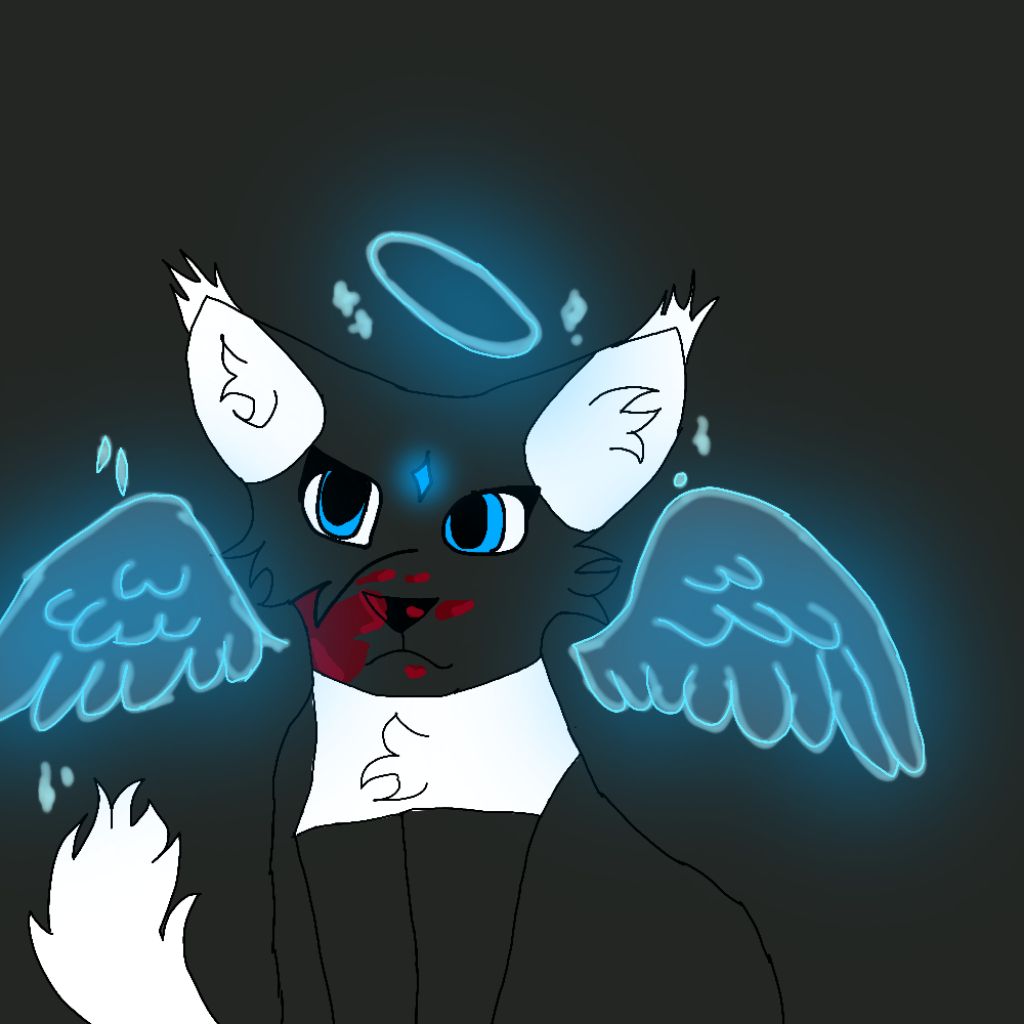 Иконка канала Чёрная звезда КВ