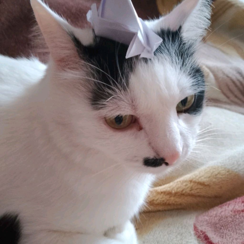 Иконка канала Лиза роблокс .