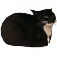 Иконка канала Mat55395