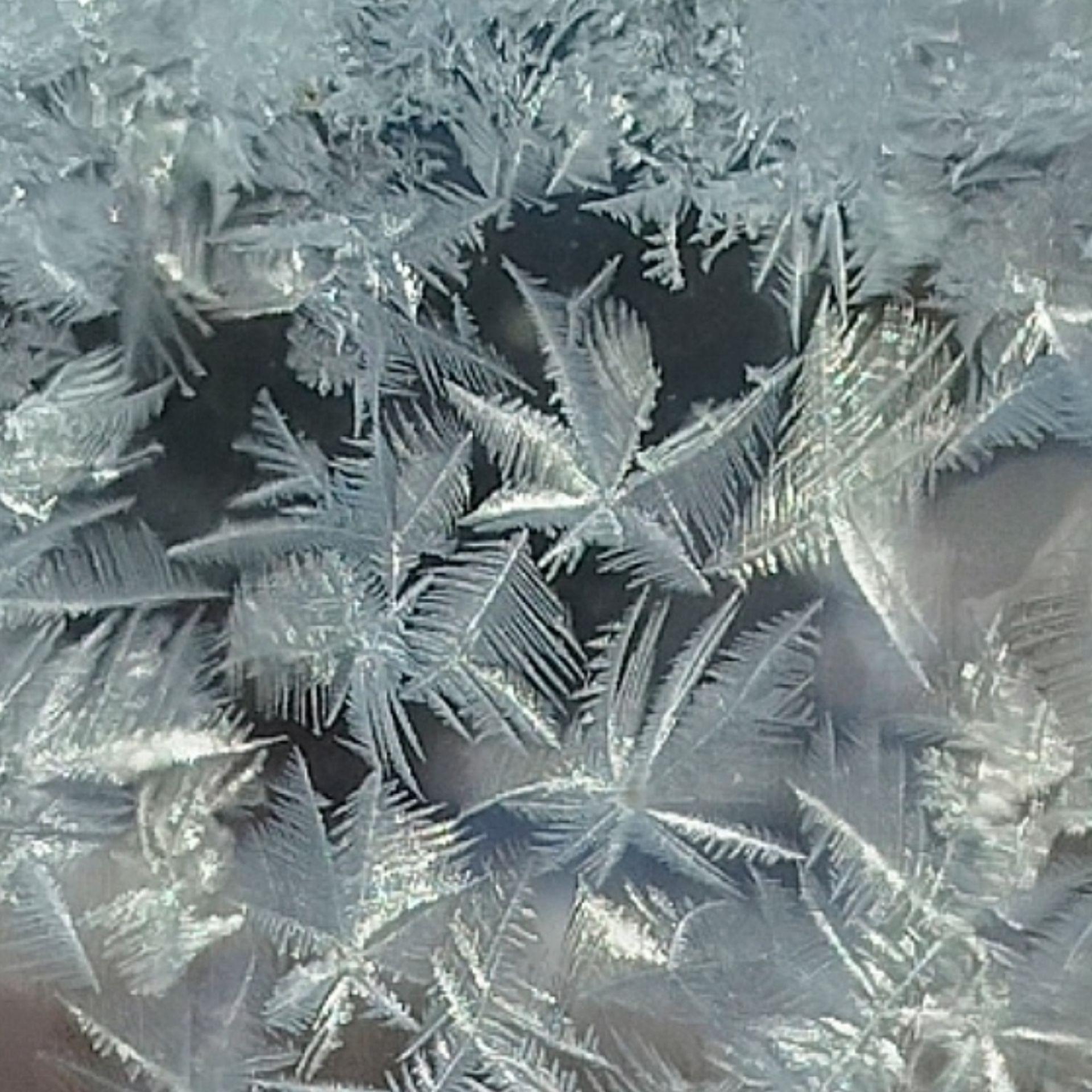 Иконка канала БЕЗЗУБАЯ БАБУЛЯ