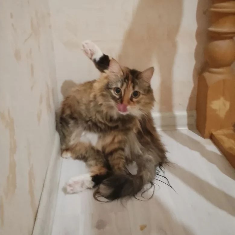 Иконка канала ITACHI