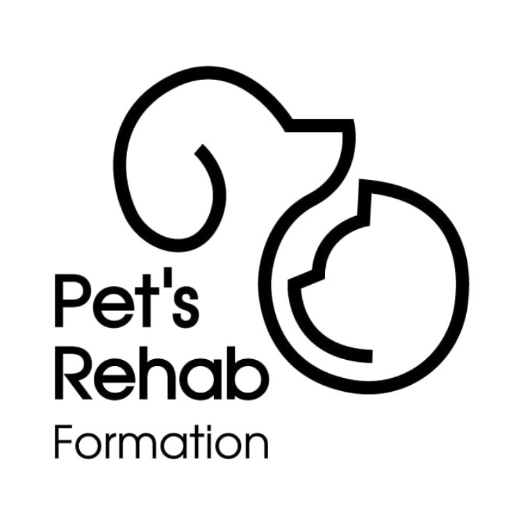Иконка канала Pets-rehab Formation