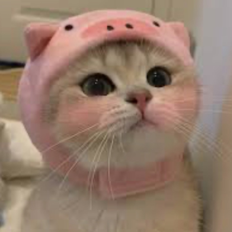 Иконка канала ✨0Lik.men✨