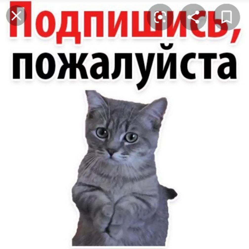 Иконка канала ПОДПИШИСЬ ПЖ