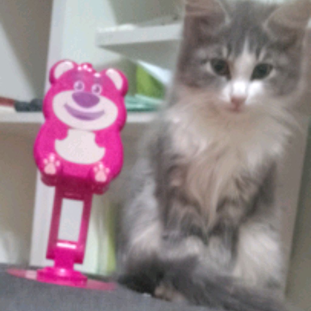 Иконка канала Иван Гаджиев