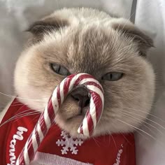 Иконка канала Flikins