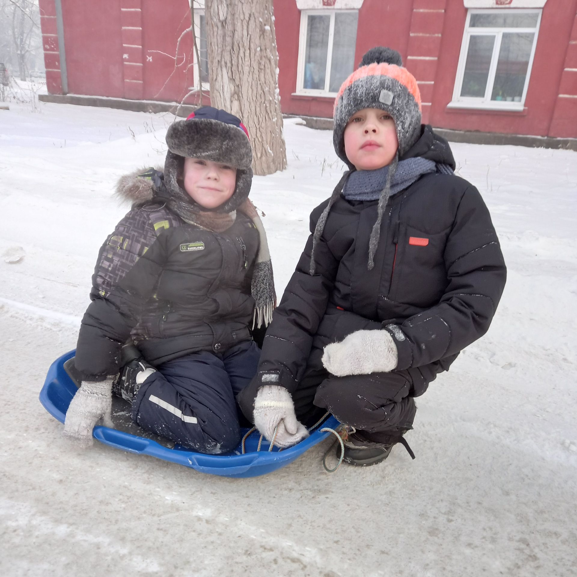 Иконка канала 🐓🐥KOLIKSI🐣🐓