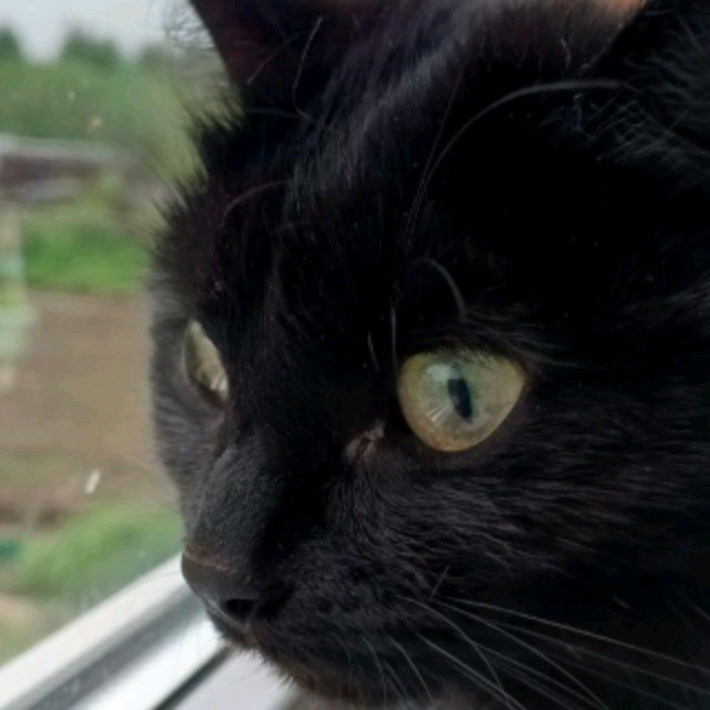 Иконка канала Бутылочка