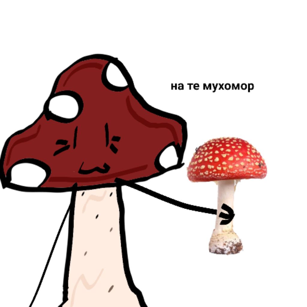 Иконка канала @🍄Глори🍄(мУхОмОр)