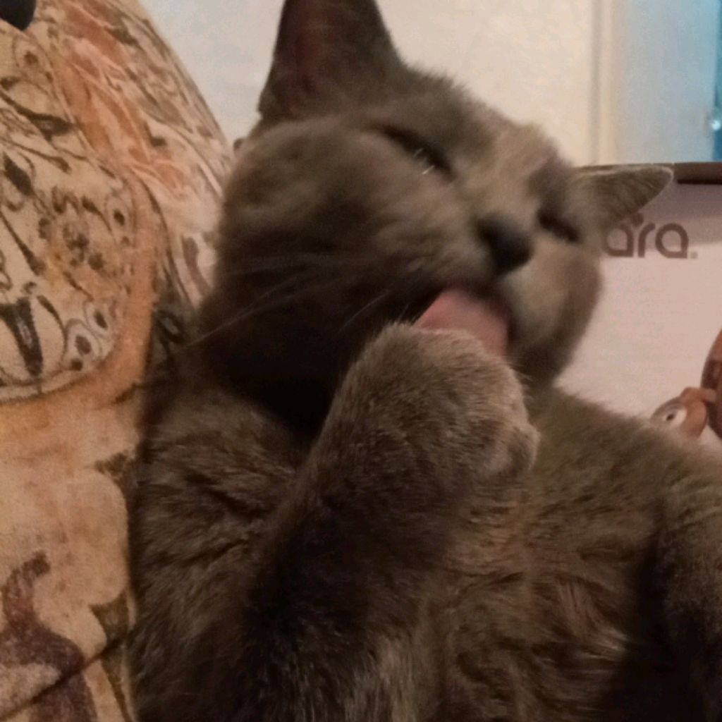 Иконка канала BossPavel