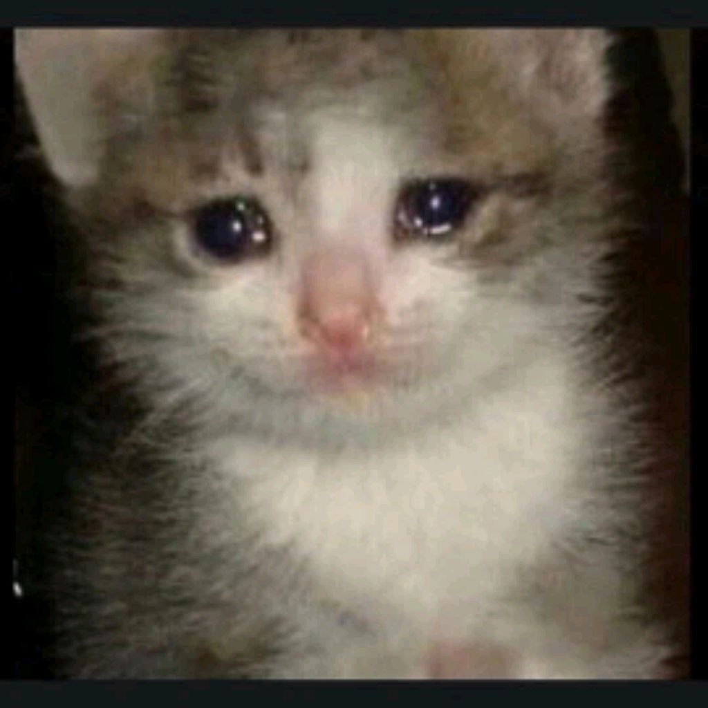 Иконка канала Друзья