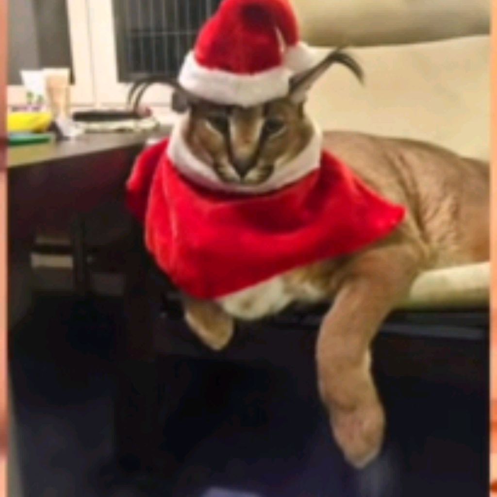 Иконка канала ШЛËПА