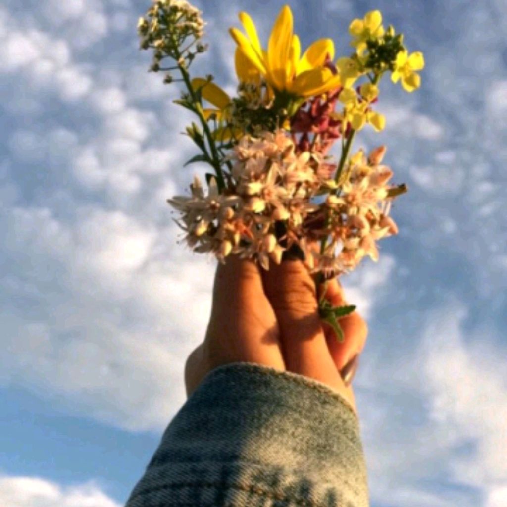 Иконка канала Nuraida🥰