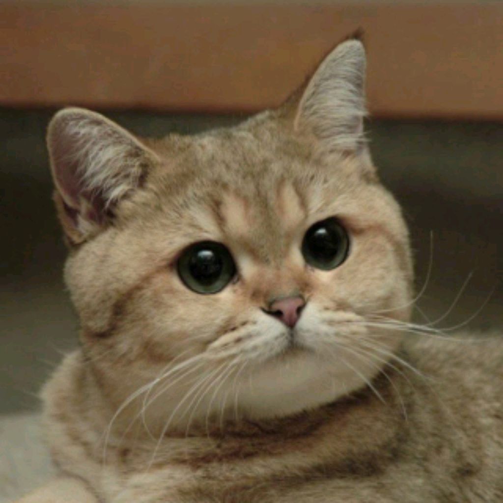 Иконка канала Alex Harder