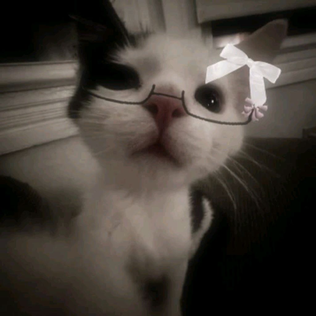 Иконка канала Симба