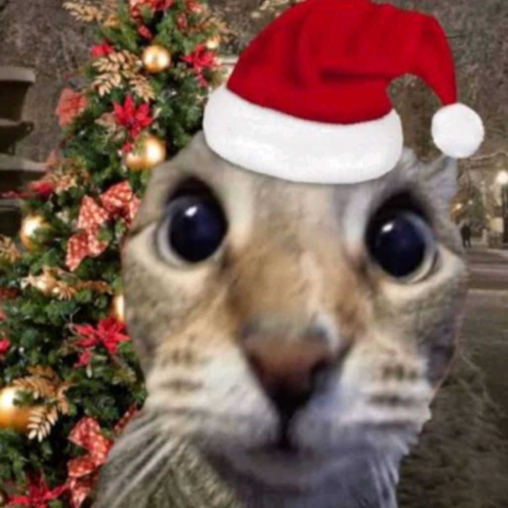 Иконка канала ✰ℂ𝕒𝕥✰