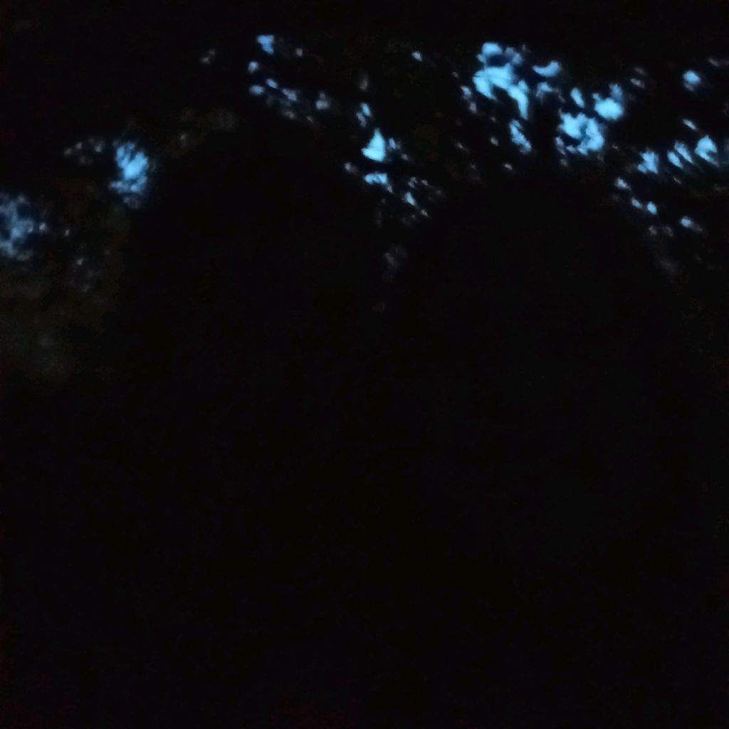 Иконка канала 🌲 99 ночей в лесу 🔥