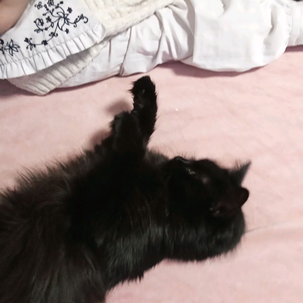 Иконка канала Дяшка 77409