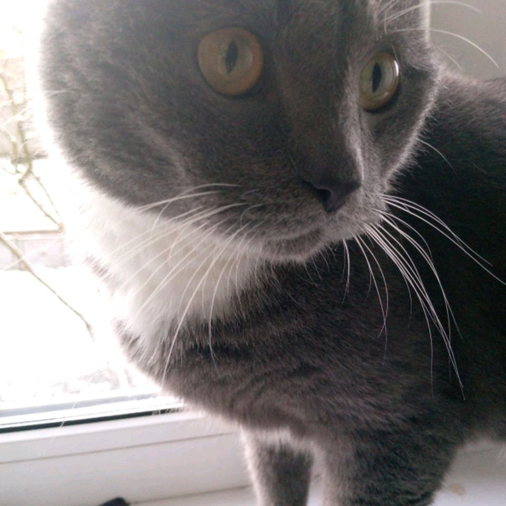 Иконка канала channel73436317