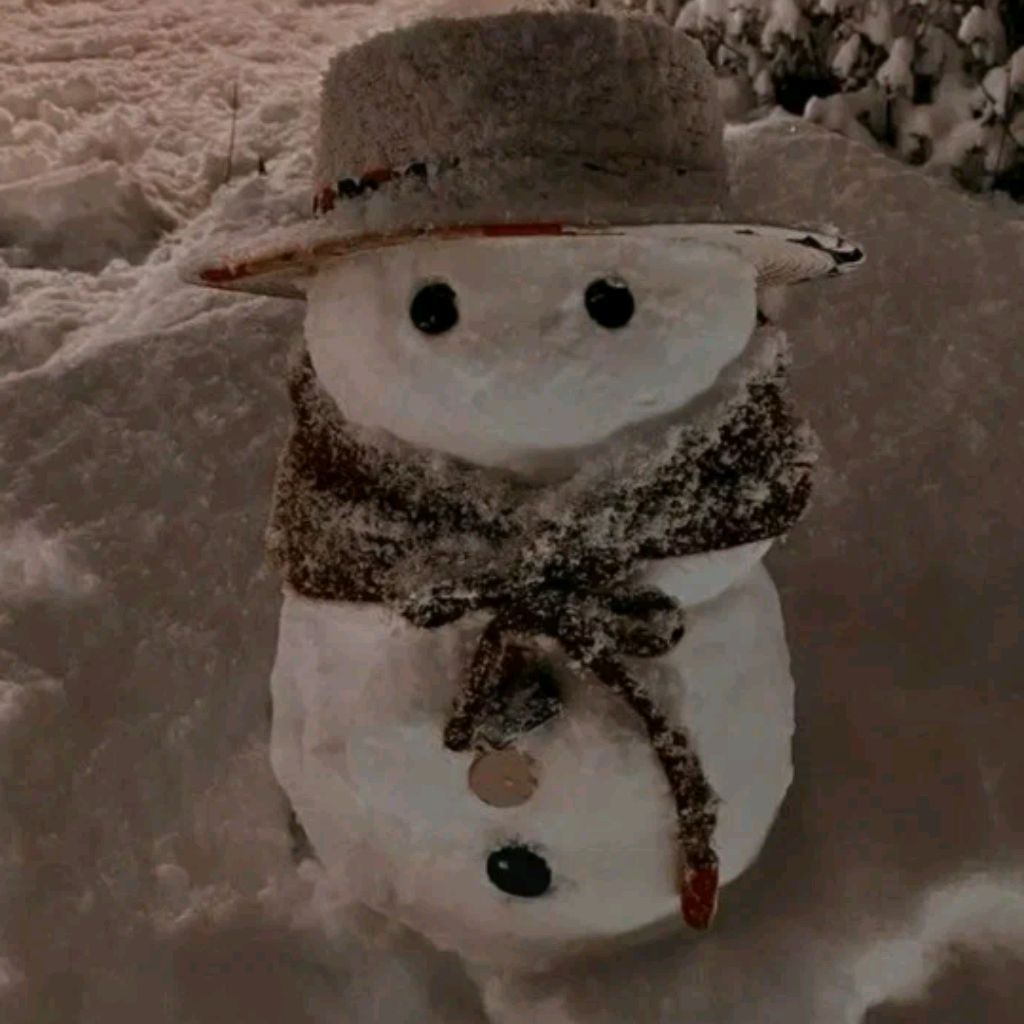 Иконка канала ❄️⚠️🐾Миля🐾⚠️❄️